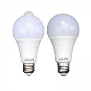 Sonic bulb – KD065001